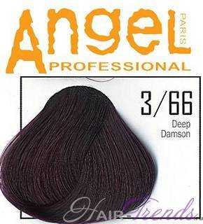 Angel professional 3-66