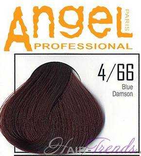 Angel professional 4-66
