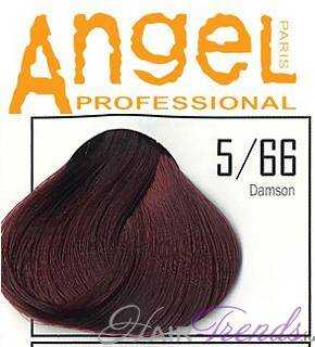 Angel professional 5-66