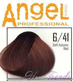 Angel professional 6-41