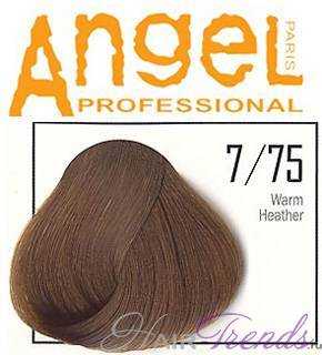 Angel professional 7/75 