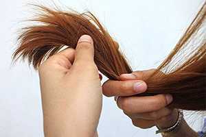 Крапива как средство от выпадения волос