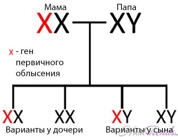 Все 23 пары хромосом у человека мужского пола. Обратите внимание на наличие X и Y! 