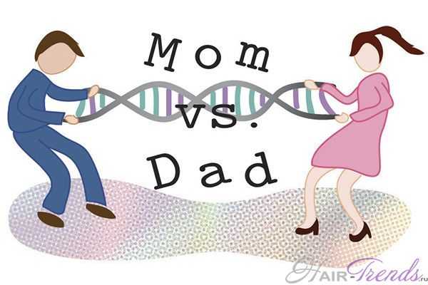 Ген облысения унаследован от матери или отца?