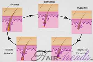 Миноксидил для роста волос у женщин и мужчин