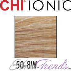 CHI Ionic 50-8W