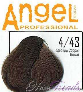 Angel professional4-43 