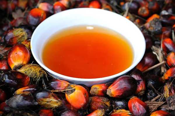 Красное пальмовое масло для волос: преимущества и способы применения