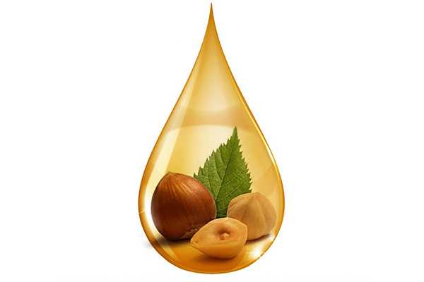 Масло лесного ореха для волос: преимущества и способы его применения