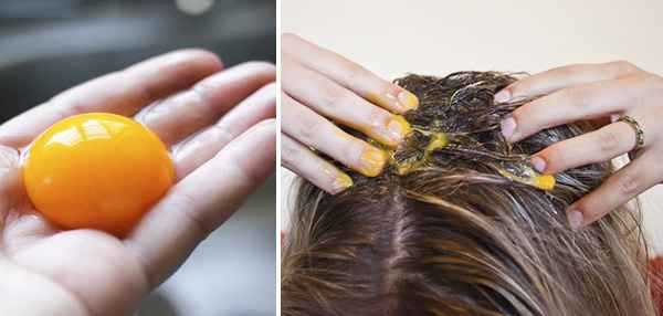 Жирные волосы после помыть яичным желтком